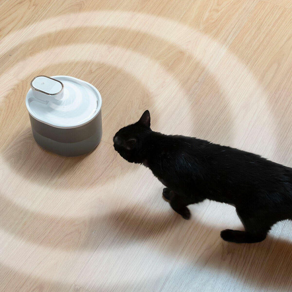 Fonte Recarrregável para Gatos com Sensor