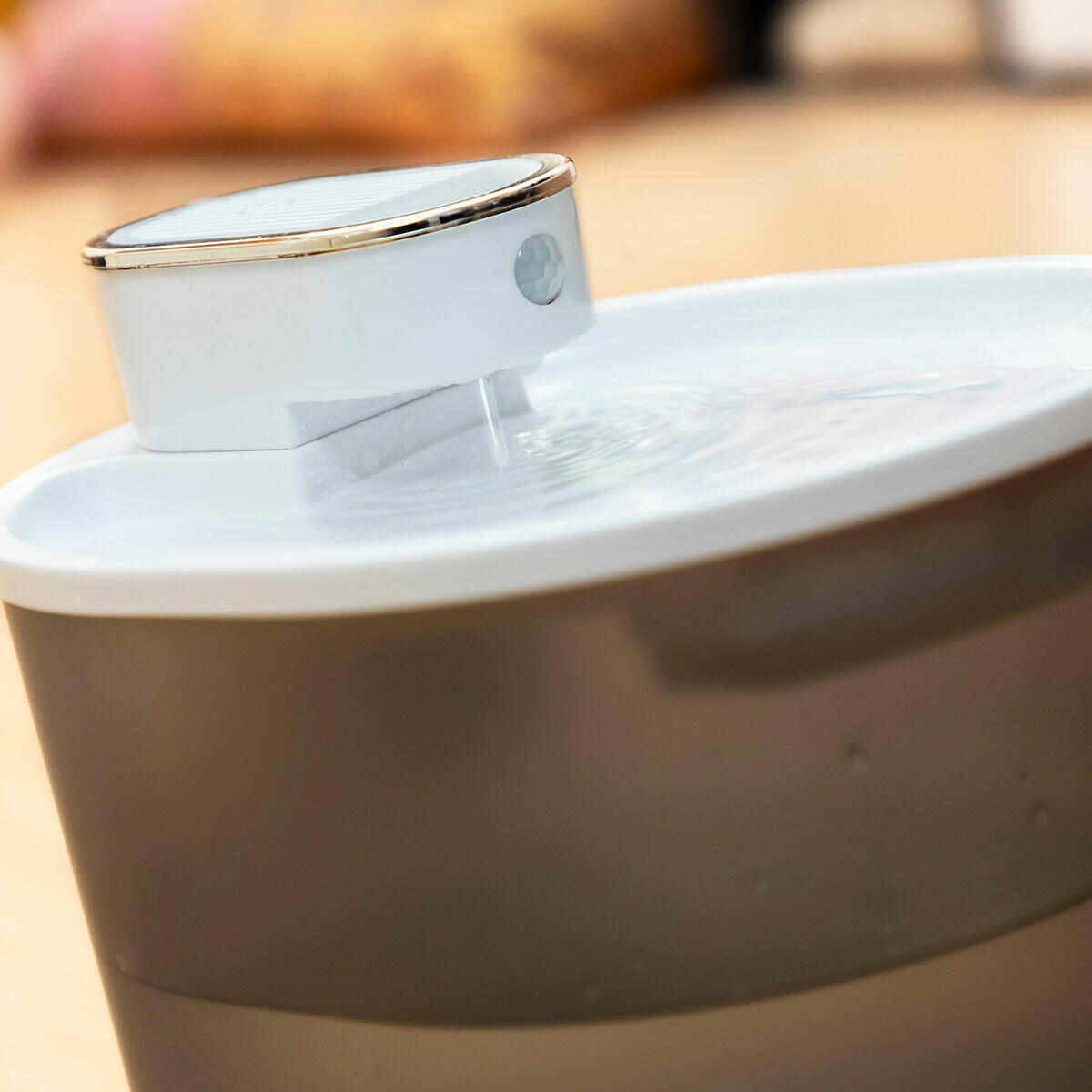 Fonte Recarrregável para Gatos com Sensor